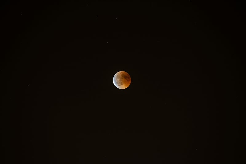 Eclipse Portraits