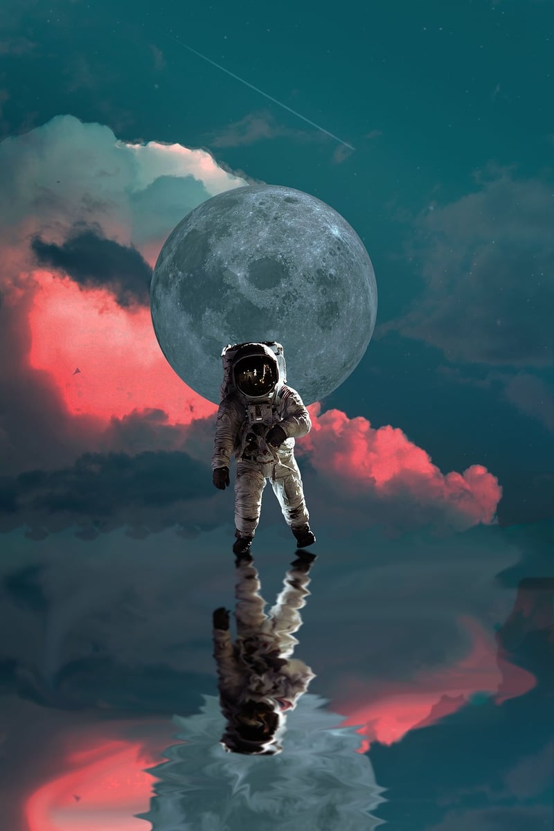 Moonlit Gardens
